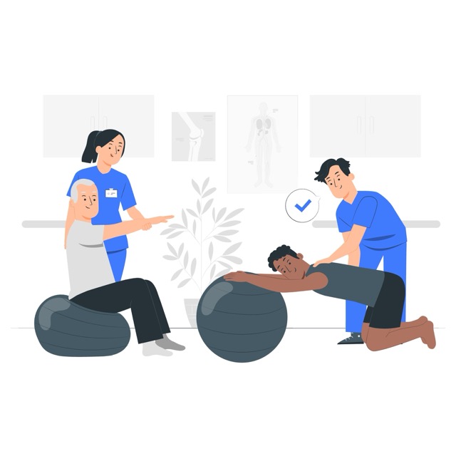 A physical therapy session, showing therapists assisting patients with exercises using stability balls, emphasizing recovery and rehabilitation.