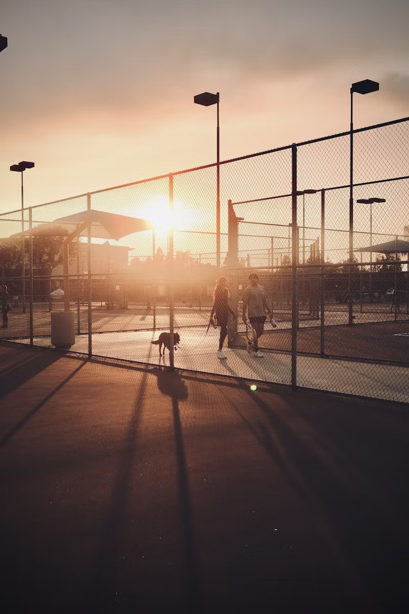 Sunset scene at an outdoor pickleball court, with players walking and a dog on the sidelines.